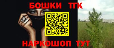 гидра Свободный
