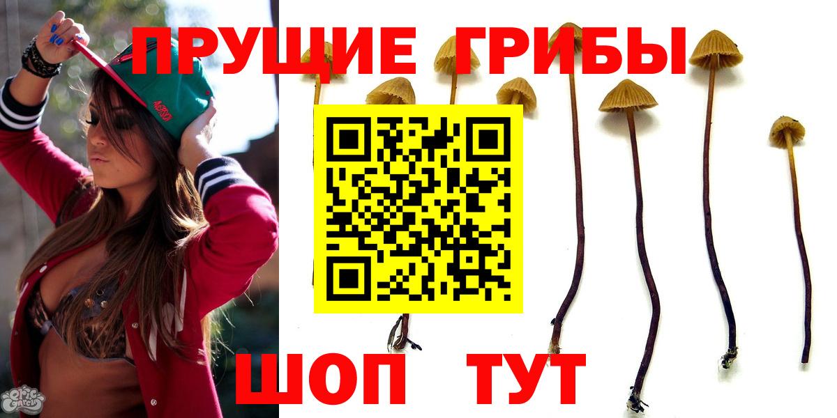 Псилоцибиновые грибы MAGIC MUSHROOMS  Вход с VPN  Рязань 